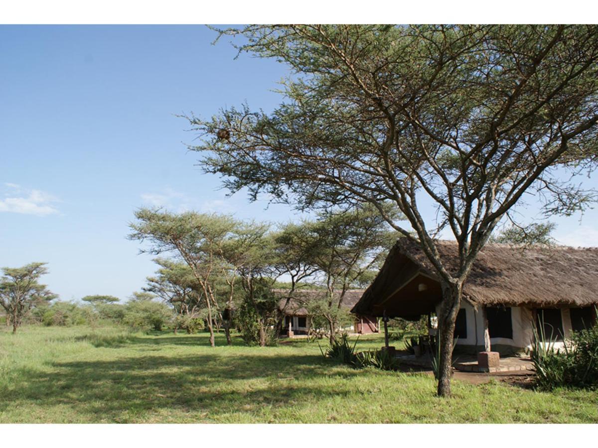 Ikoma Bush Camp Robanda Buitenkant foto
