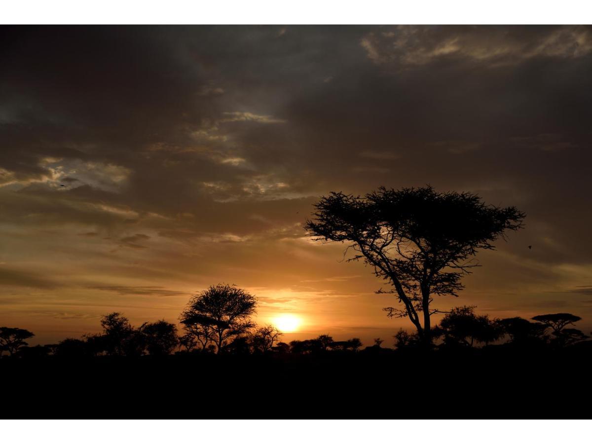 Ikoma Bush Camp Robanda Buitenkant foto