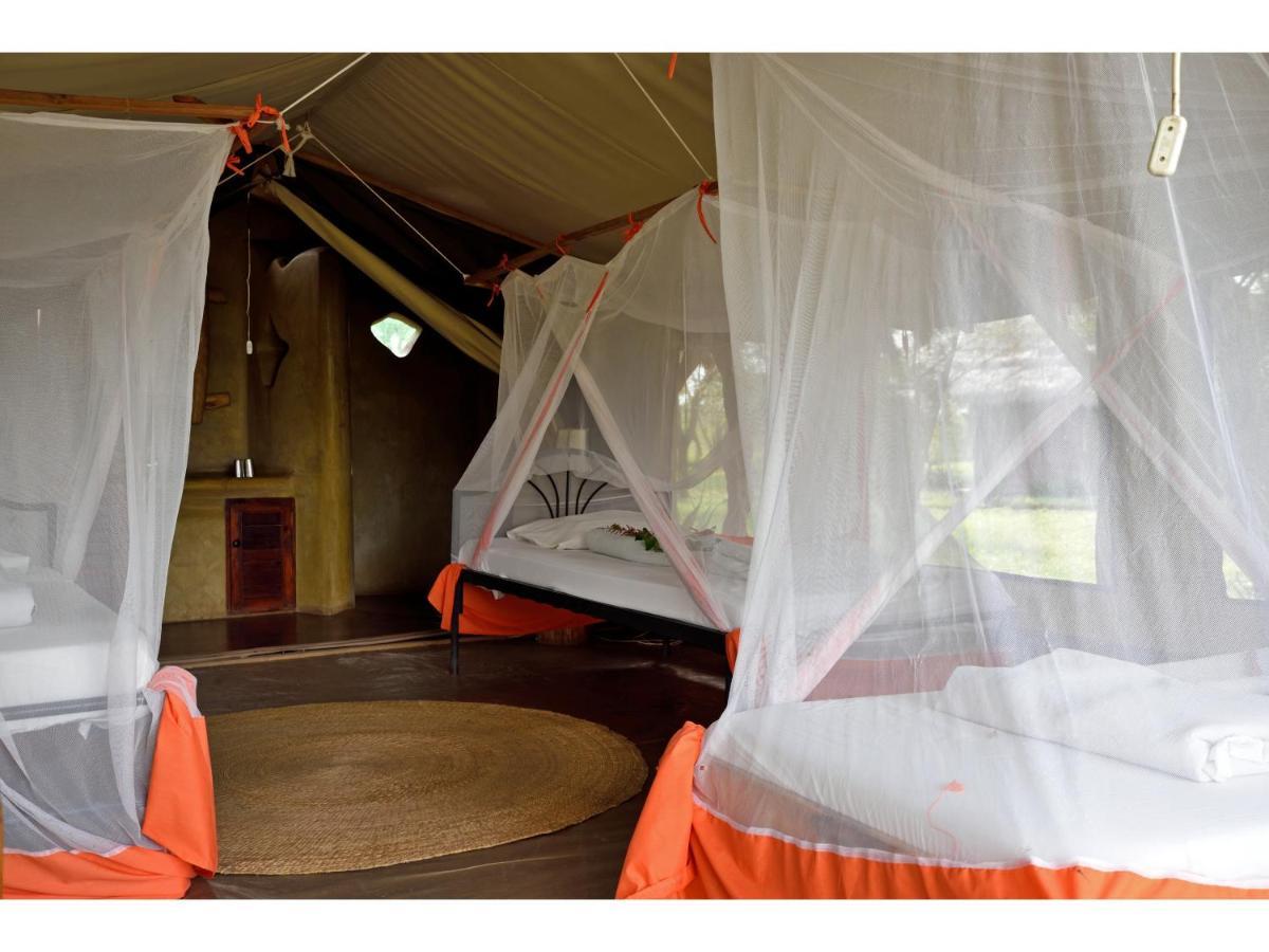 Ikoma Bush Camp Robanda Buitenkant foto